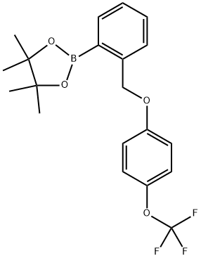 4,4,5,5-四甲基-2-(2-((4-(三氟甲氧基)苯氧基)甲基)苯基)-1,3,2-二氧硼杂环戊烷 结构式