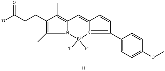 BDP TMR CARBOXYLIC ACID 结构式