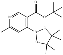 6-甲基-4-(4,4,5,5-四甲基-1,3,2-二氧硼杂环戊烷-2-基)烟酸叔丁酯 结构式
