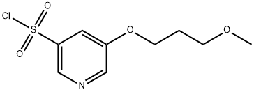 5-(3-甲氧基丙氧基)吡啶-3-磺酰氯 结构式