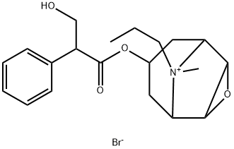 丁溴东莨菪碱杂质04 结构式