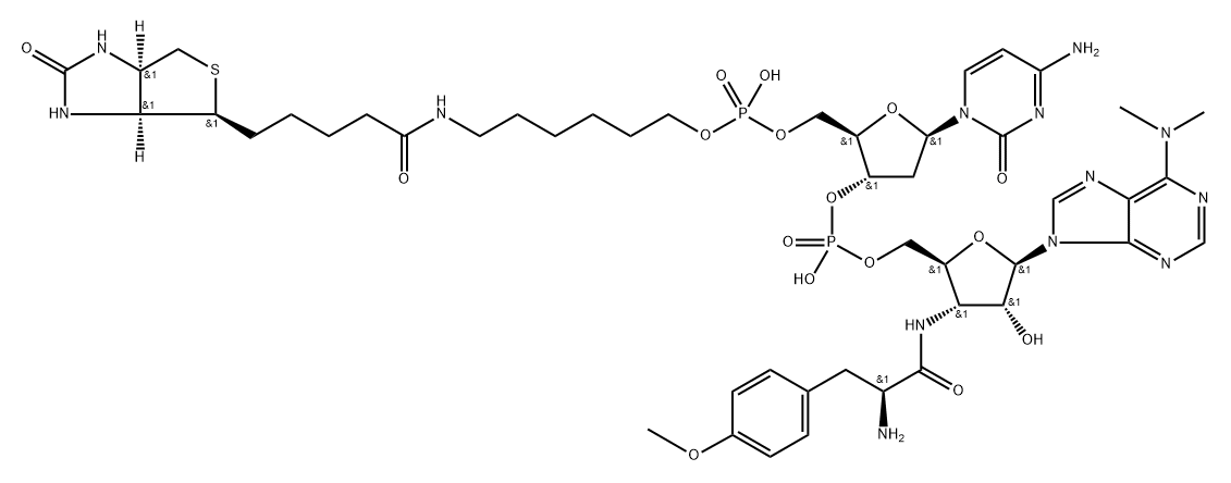 Biotin-dC-puromycin 结构式