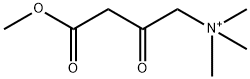 1-Butanaminium, 4-methoxy-N,N,N-trimethyl-2,4-dioxo- 结构式