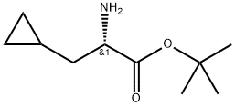 S-环丙基丙氨酸叔丁酯 结构式