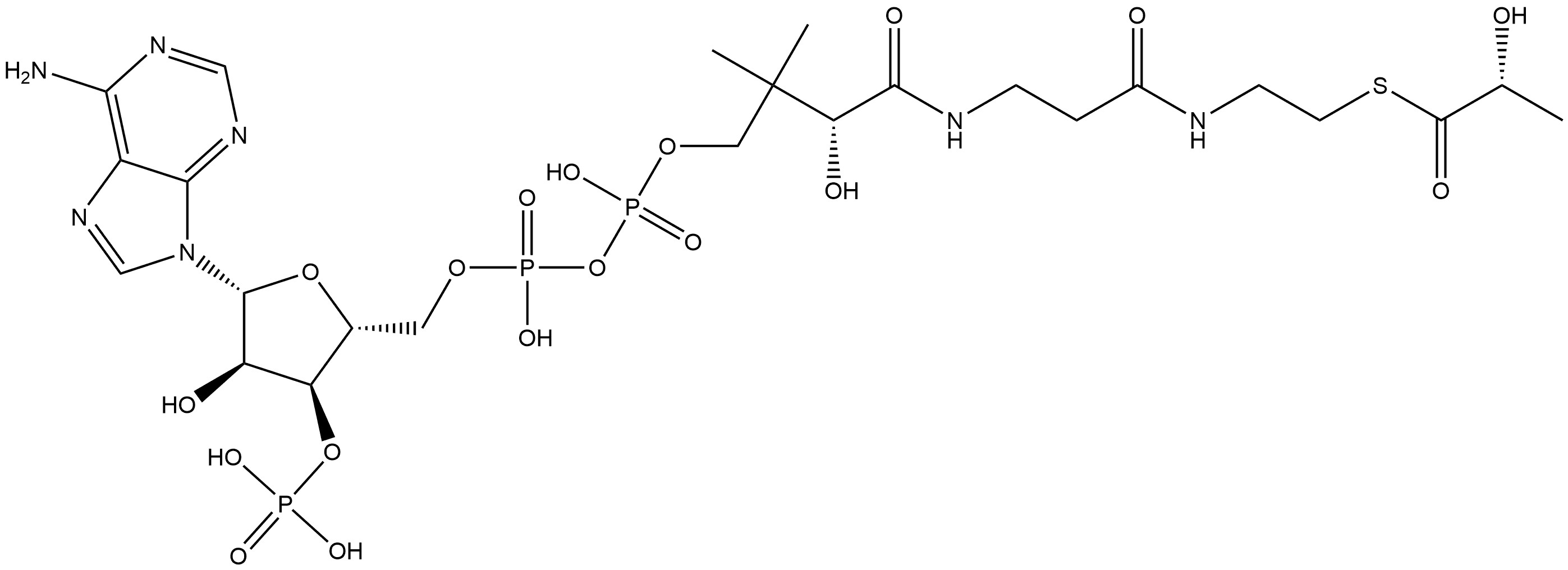 L乳酰-辅酶A 结构式