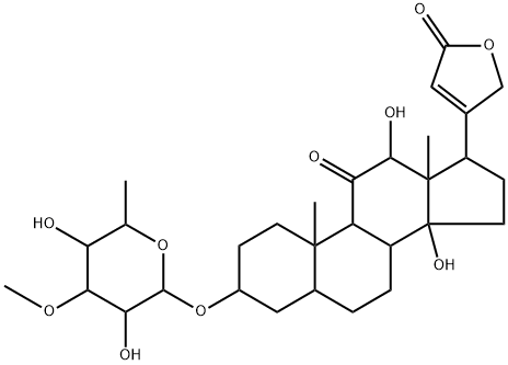 3β-[(6-Deoxy-3-O-methyl-D-galactopyranosyl)oxy]-12β,14-dihydroxy-11-oxo-5β-card-20(22)-enolide 结构式