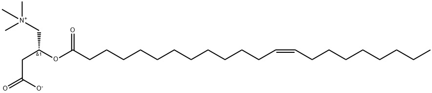 化合物 T24042 结构式