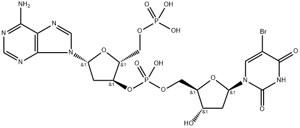 poly (dA-BrdU) 结构式