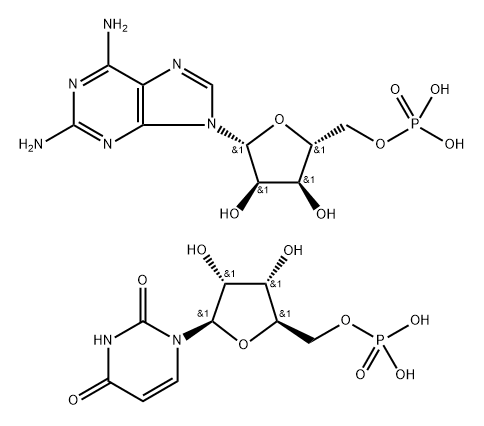 poly(2-aminoadenylic acid)-poly U 结构式