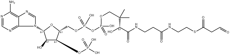 Malonyl-CoA semialdehyde 结构式