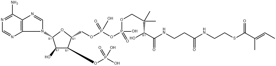 tiglyl-coenzyme A 结构式