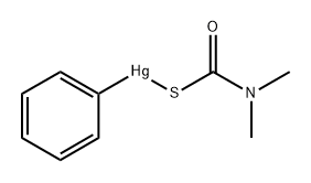 Mercury, (dimethylcarbamothioato-S)phenyl- 结构式