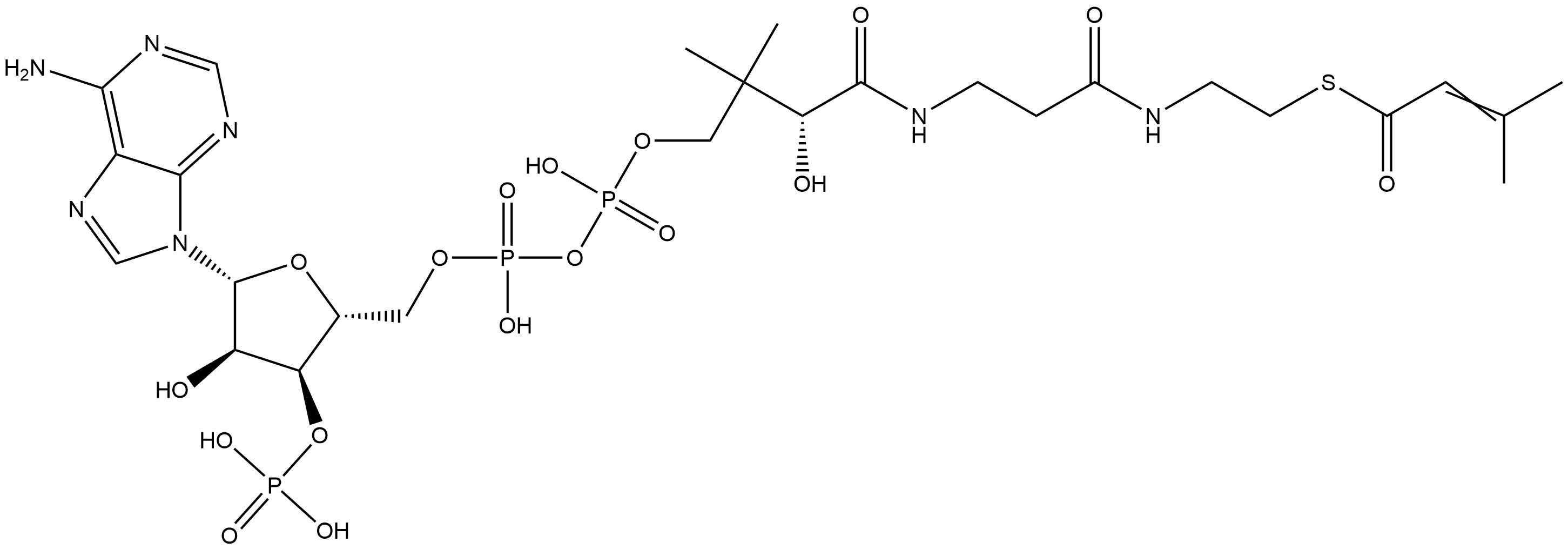 Coenzyme A, S-(3-methyl-2-butenoate) 结构式