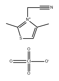 3-(Cyanomethyl)-2,4-dimethyl-1,3-thiazol-3-ium perchlorate 结构式