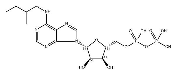 6-(2-MeBu)-ADP 结构式