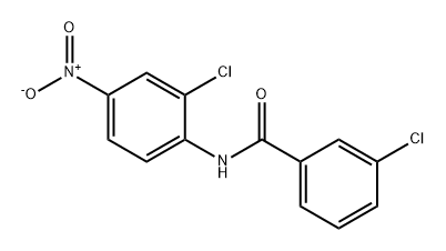 3-chloro-N-(2-chloro-4-nitrophenyl)benzamide 结构式