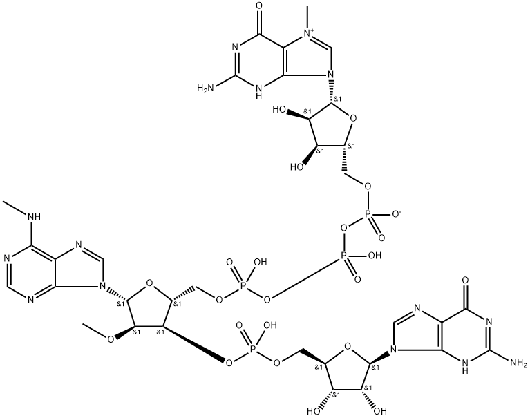 Guanosine, 7-methylguanylyloxyphosphinicooxyphosphinico-(5'→5')-N-methyl-2'-O-methylguanylyl-(3'→5')-, inner salt (9CI) 结构式