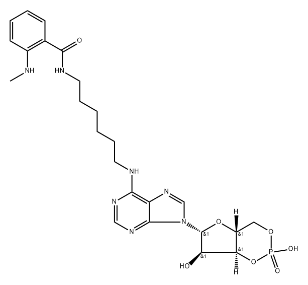 6-MAH-cAMP 结构式