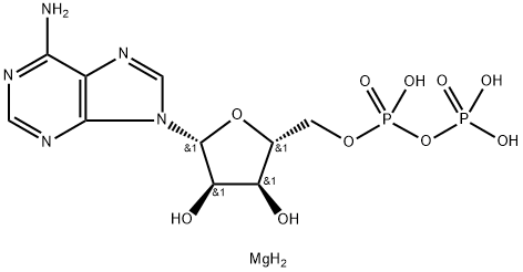 Adenosine 5'-(trihydrogen diphosphate), magnesium salt (1:1) 结构式