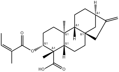 3ALPHA-当归酰基氧基-等效-贝壳杉-16-烯酸 结构式