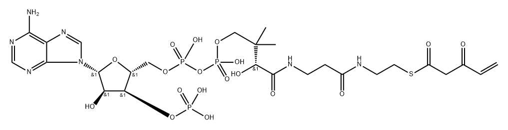 3-keto-4-pentenoyl-coenzyme A 结构式