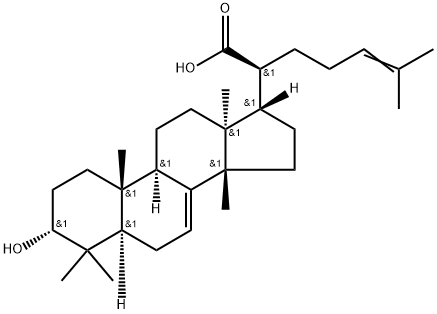 3-Α羟基甘遂烷-7,24-二烯-21-酸 结构式