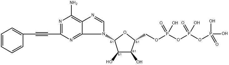 化合物 T23142 结构式