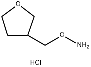 O-(oxolan-3-ylmethyl)hydroxylamine hydrochloride 结构式