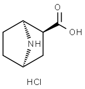rac-(1S,2S,4R)-7-azabicyclo[2.2.1]heptane-2-carboxylic acid hydrochloride 结构式