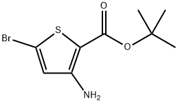 3-氨基-5-溴噻吩-2-羧酸叔丁酯 结构式