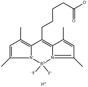 Borate(1-), [ε-(3,5-dimethyl-2H-pyrrol-2-ylidene-κN)-3,5-dimethyl-1H-pyrrole-2-hexanoato(2-)-κN1]difluoro-, hydrogen (1:1), (T-4)- 结构式