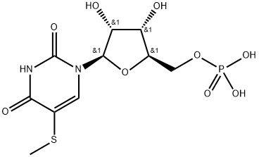 poly-5-methylthiouridylic acid 结构式