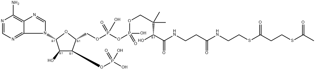 S-acetyl-3-mercaptopropanoyl-coenzyme A 结构式