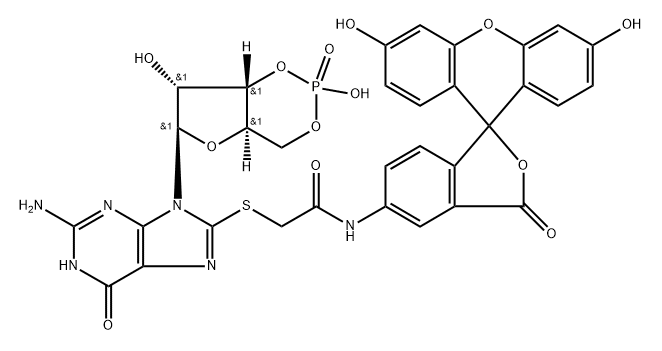 8-(5-thioacetamidofluorescein)cyclic-GMP 结构式