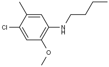N-Butyl-4-chloro-2-methoxy-5-methylbenzenamine 结构式