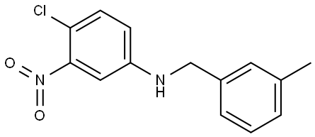 4-chloro-N-(3-methylbenzyl)-3-nitroaniline 结构式