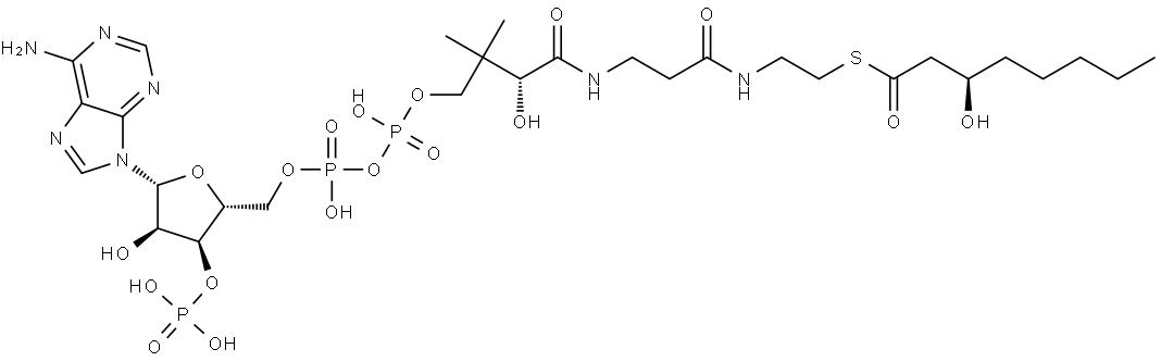 3(R)-Hydroxyoctanoyl-CoA 结构式