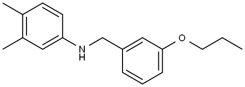 N-(3,4-Dimethylphenyl)-3-propoxybenzenemethanamine 结构式