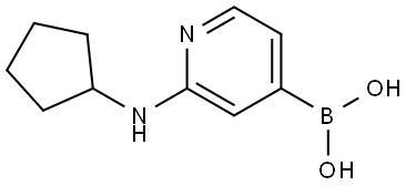 B-[2-(Cyclopentylamino)-4-pyridinyl]boronic acid 结构式