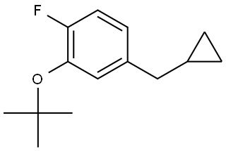 2-(tert-butoxy)-4-(cyclopropylmethyl)-1-fluorobenzene 结构式