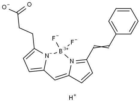 BODIPY 564/570 羧酸 结构式