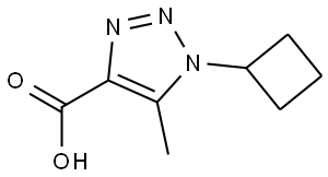 1H-1,2,3-Triazole-4-carboxylic acid, 1-cyclobutyl-5-methyl- 结构式