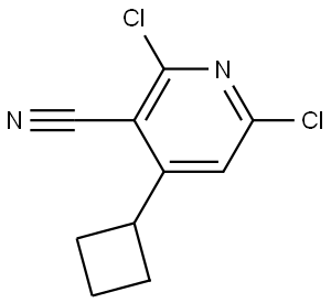 2,6-dichloro-4-cyclobutylnicotinonitrile 结构式