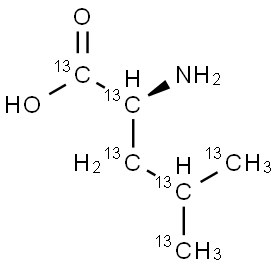 亮氨酸 结构式