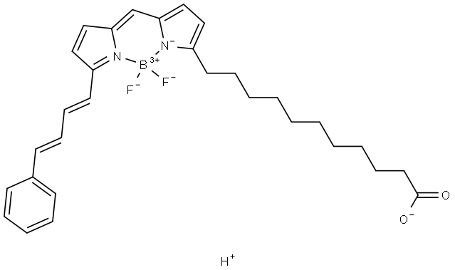 C11 BODIPY 581/591 结构式