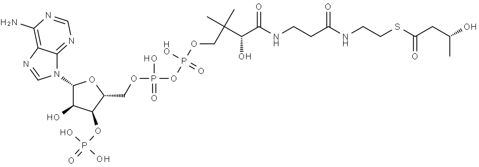 Coenzyme A, S-[(3R)-3-hydroxybutanoate] 结构式