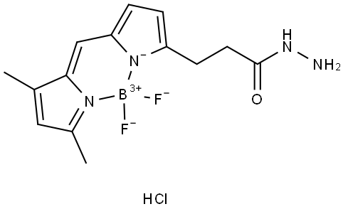 BDP FL HYDRAZIDE 结构式