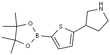 5-(Pyrrolidin-3-yl)thiophene-2-boronic acid pinacol ester 结构式