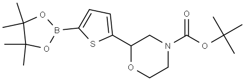 tert-butyl 2-(5-(4,4,5,5-tetramethyl-1,3,2-dioxaborolan-2-yl)thiophen-2-yl)morpholine-4-carboxylate 结构式