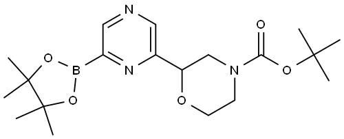 tert-butyl 2-(6-(4,4,5,5-tetramethyl-1,3,2-dioxaborolan-2-yl)pyrazin-2-yl)morpholine-4-carboxylate 结构式